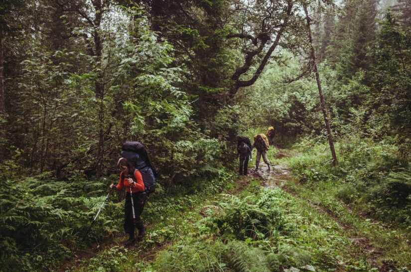 From Sky to Forest: Essential Tips for Planning Your Wilderness Adventure
