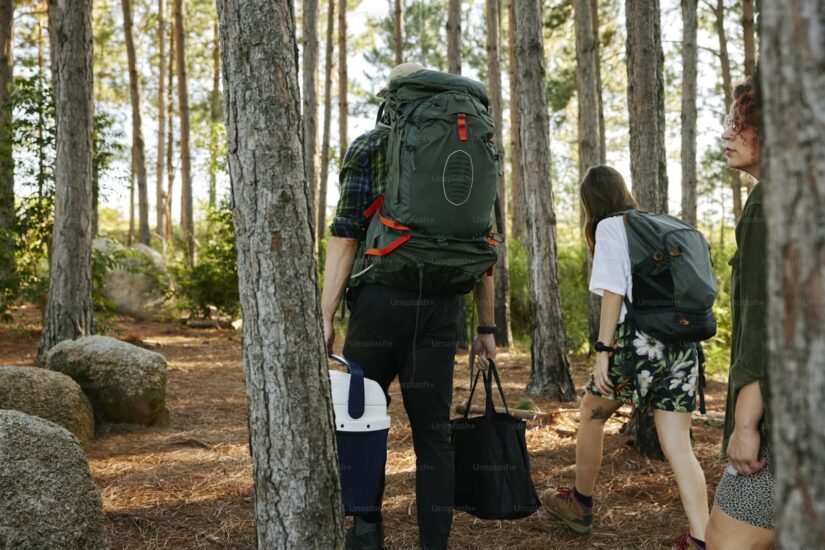 Surviving the Wilderness: Tips for Planning a Long Forest Journey